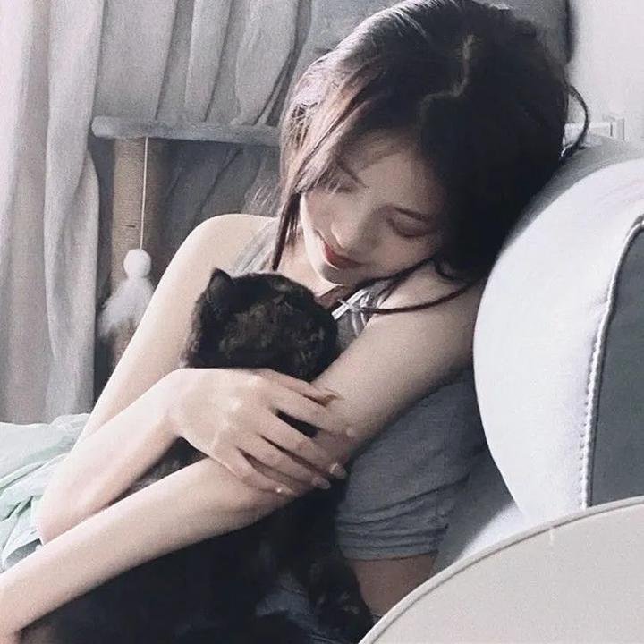 不知羞耻海报